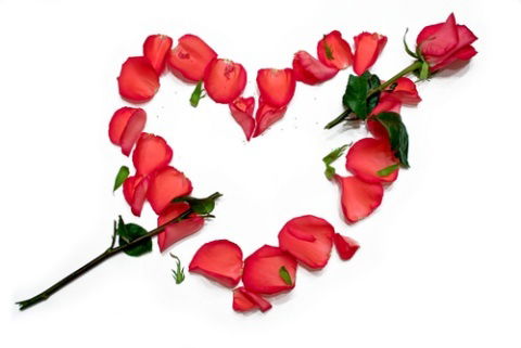 Неизвестно Неизвестно