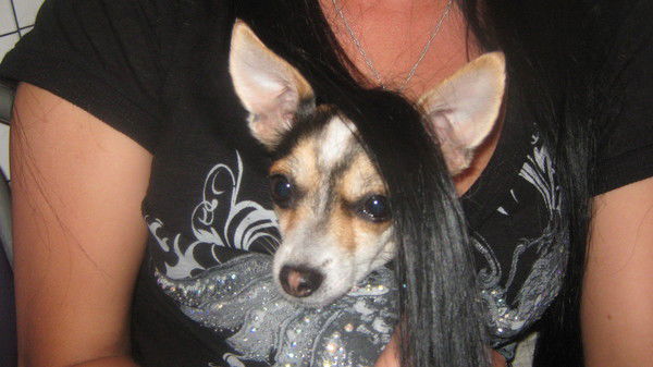 Дамир Ситдиков