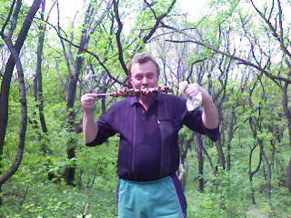 Николай Метлин