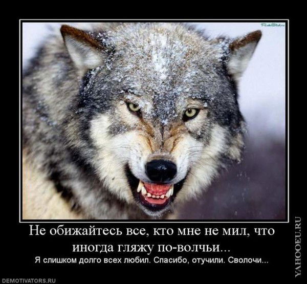 Мансур Хасянов