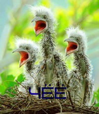 Валера Приставка