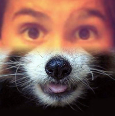 Александр Шаламов