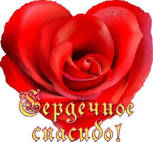 Татьяна Черненко