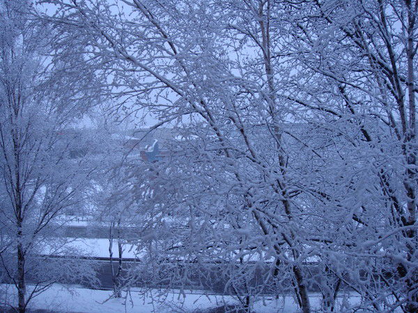 Алиса Римоева