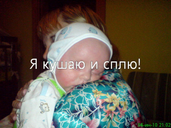 Елена Маханкина