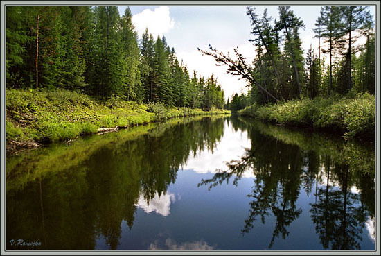 Галина Килина