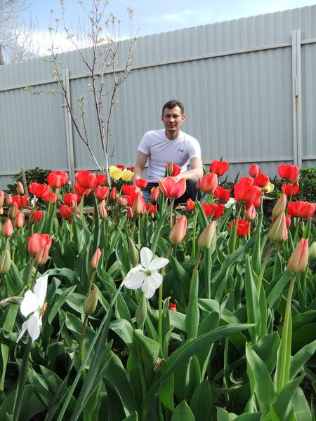 Николай Шубин