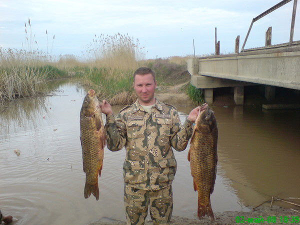 Дмитрий Павлов