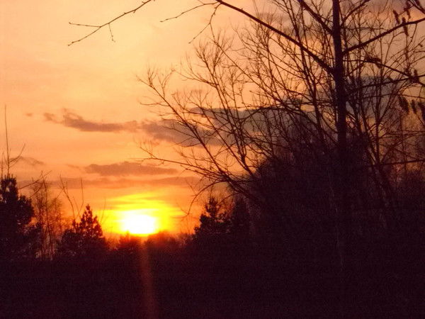 Елена Бартенева