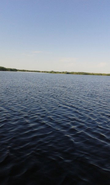 Ирек Камалов