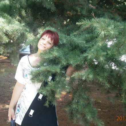 Светлана Царенко