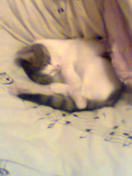 Аида Адильгереева