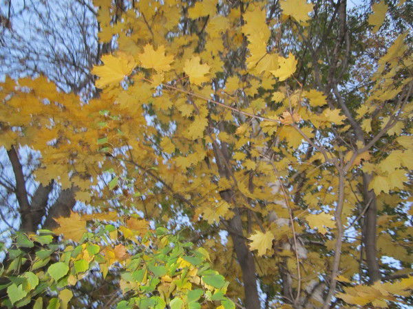 Екатерина Окулова