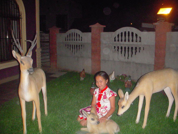 Аяулым Ермеккызы