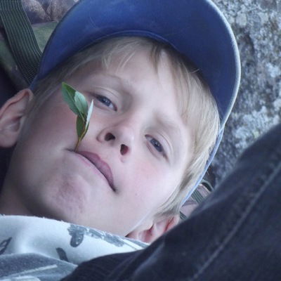 Рома Шифельбейн