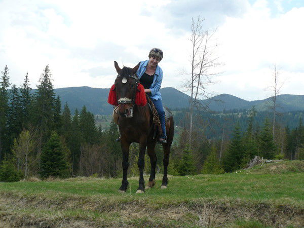 Неизвестно Неизвестно