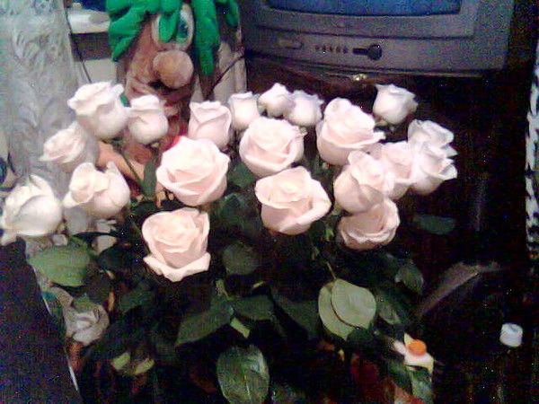 Елена Игоревна