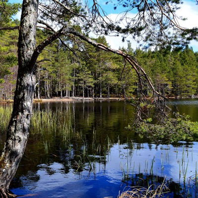 Виктория Кузовкина