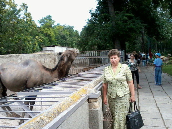 Татьяна Тихомирова