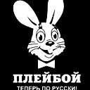 Дмитрий Северный
