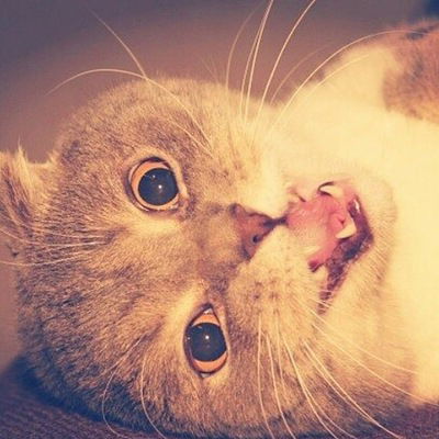 Тоша Ефремов