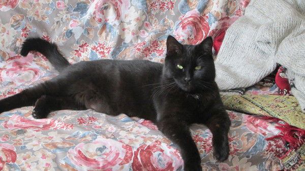 Роман Глушков