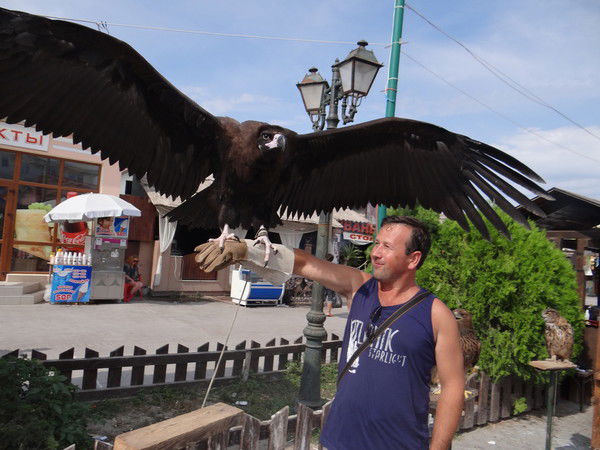 Александр Мухутдинов