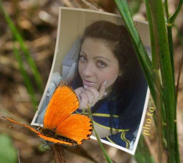 ***галчонок ***