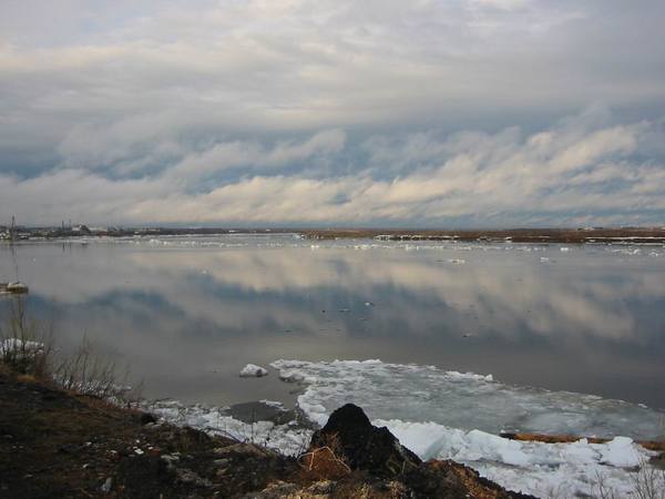 Оксана Сиренко