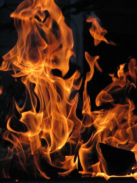 Дмитрий Алексеев