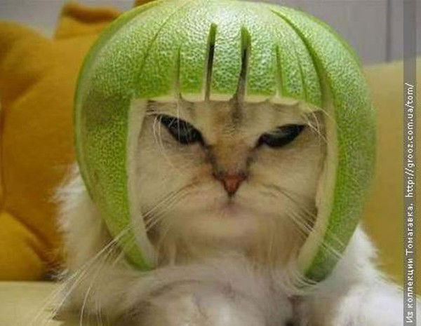 Машуня Калинина