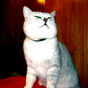 Mariy Iv