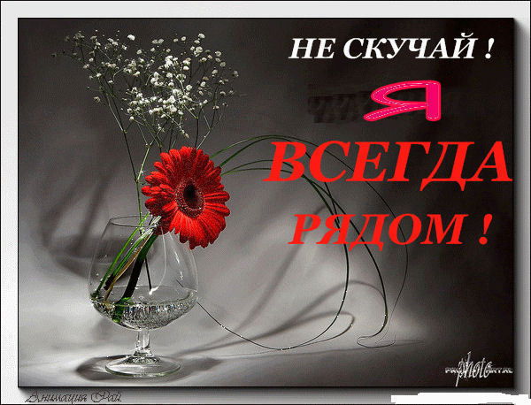 Олёна Олейник