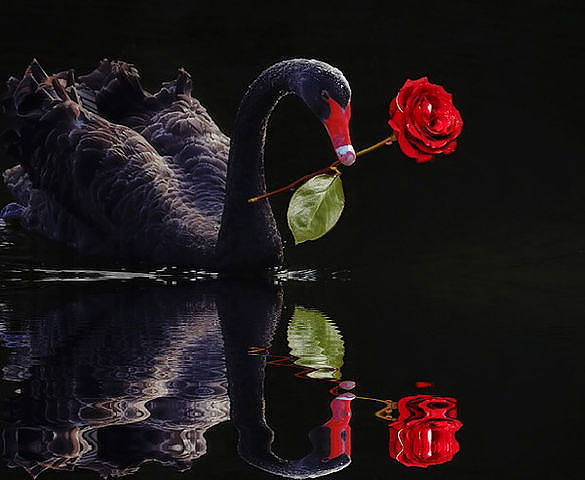 Наталия *******