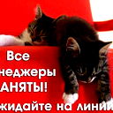 Голов Мар