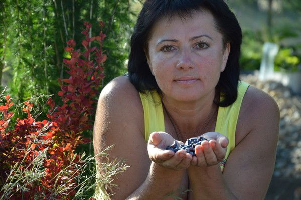 Ирина Стабровская