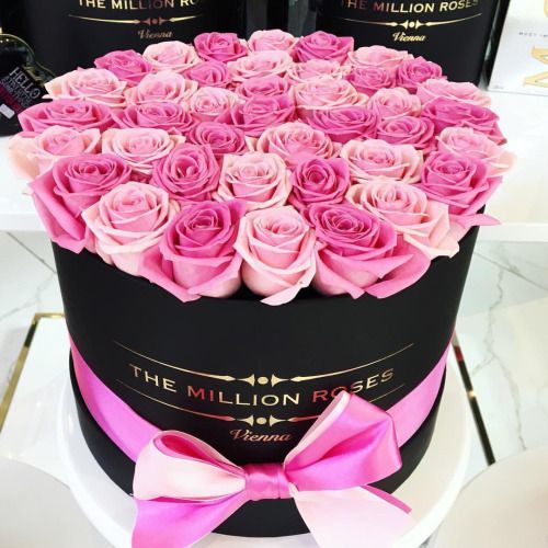 Солнце Солнышко