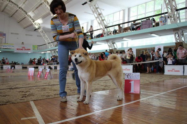 Маргарита Климова