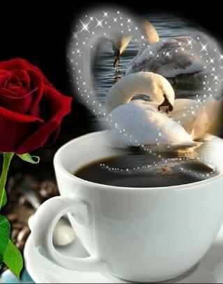 Ирина Дарьева