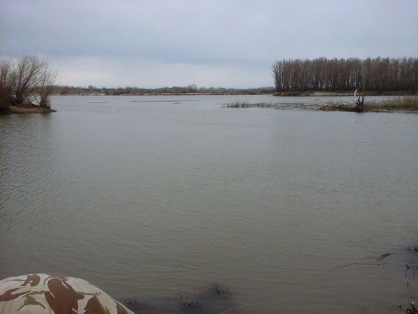 Зайсанское Инспекция