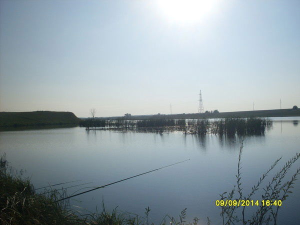 Флюра Фаткуллина