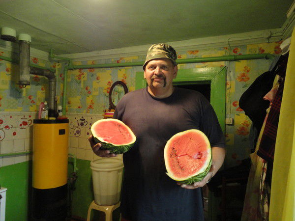 Володимир Андрианов