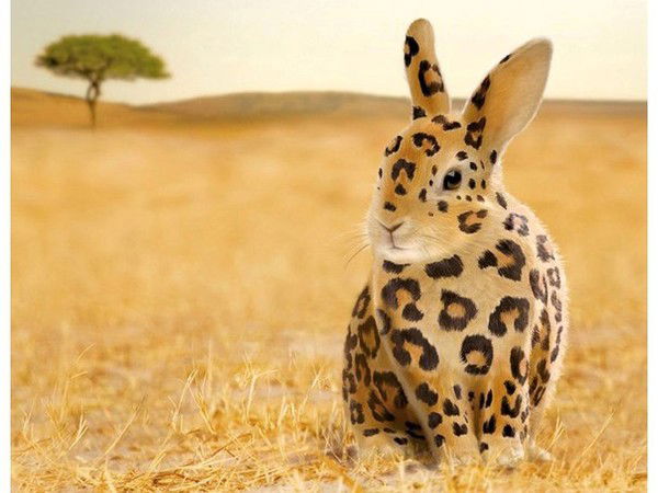 Станислав Катюхов