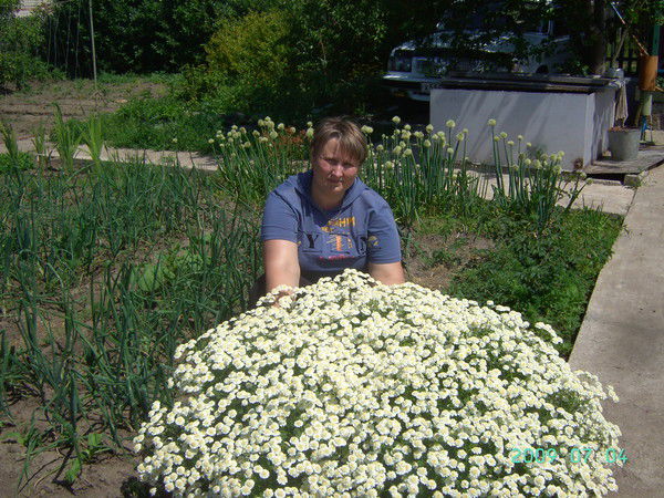 Тамара Черемицына