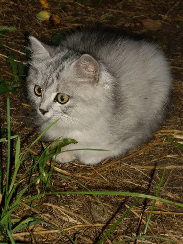 Наталья Толубаева