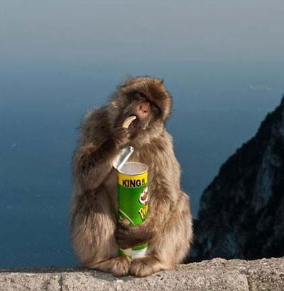 Ринат Гибралтарский