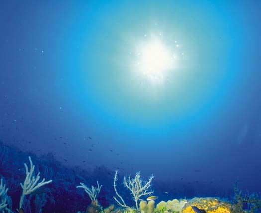 Юлия Пирогова