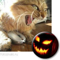 Светлана Чернова