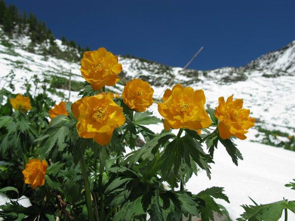 Татьяна Колда