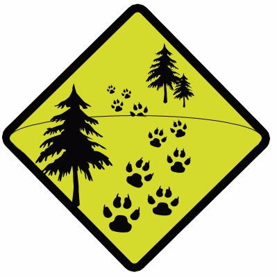 Алексей Ролдугин